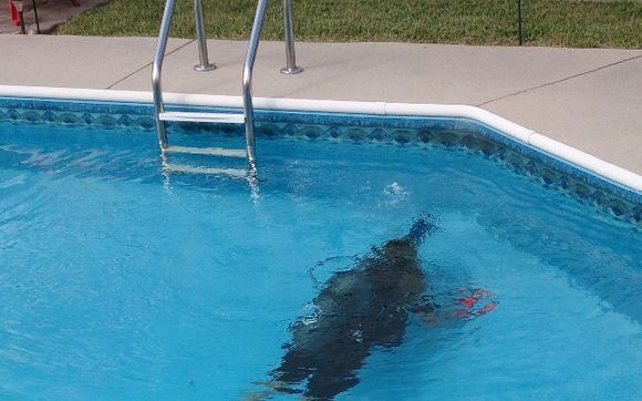 pool leak detection diver