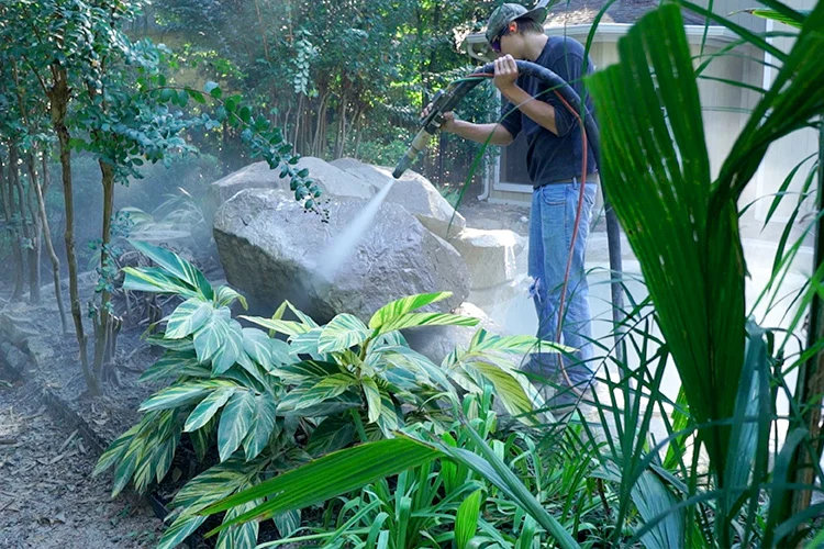 Protect Landscape